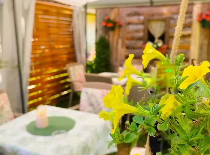 Vrh 88 Apartman Vrnjacka Banja